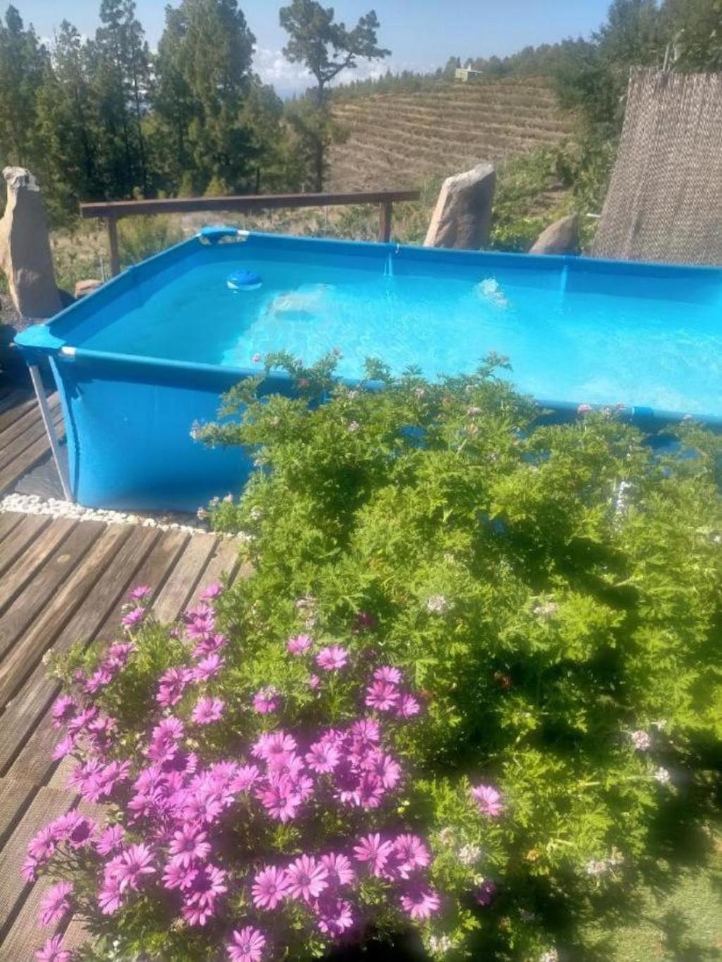 Media Pipa Villa Puntagorda Dış mekan fotoğraf